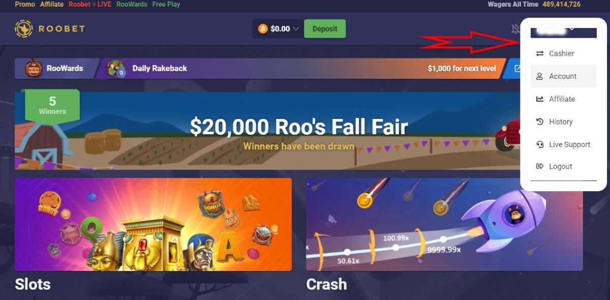 Roobet Bitcoin Casino Explained