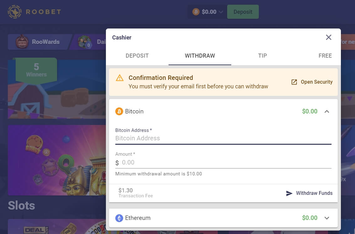 Roobet Bitcoin Casino Explained
