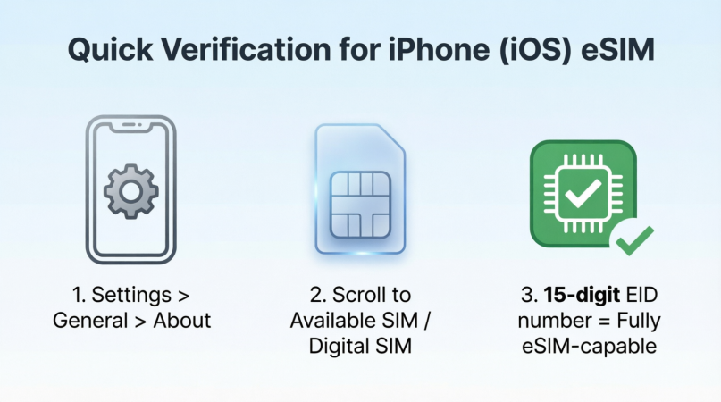 Quick Verification for iPhone (iOS) Saily 2026 code Sahrzad15